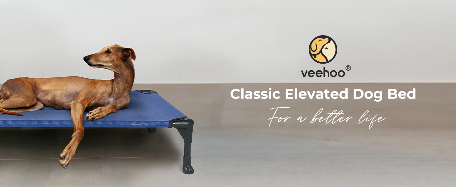 elevated Dog bed
