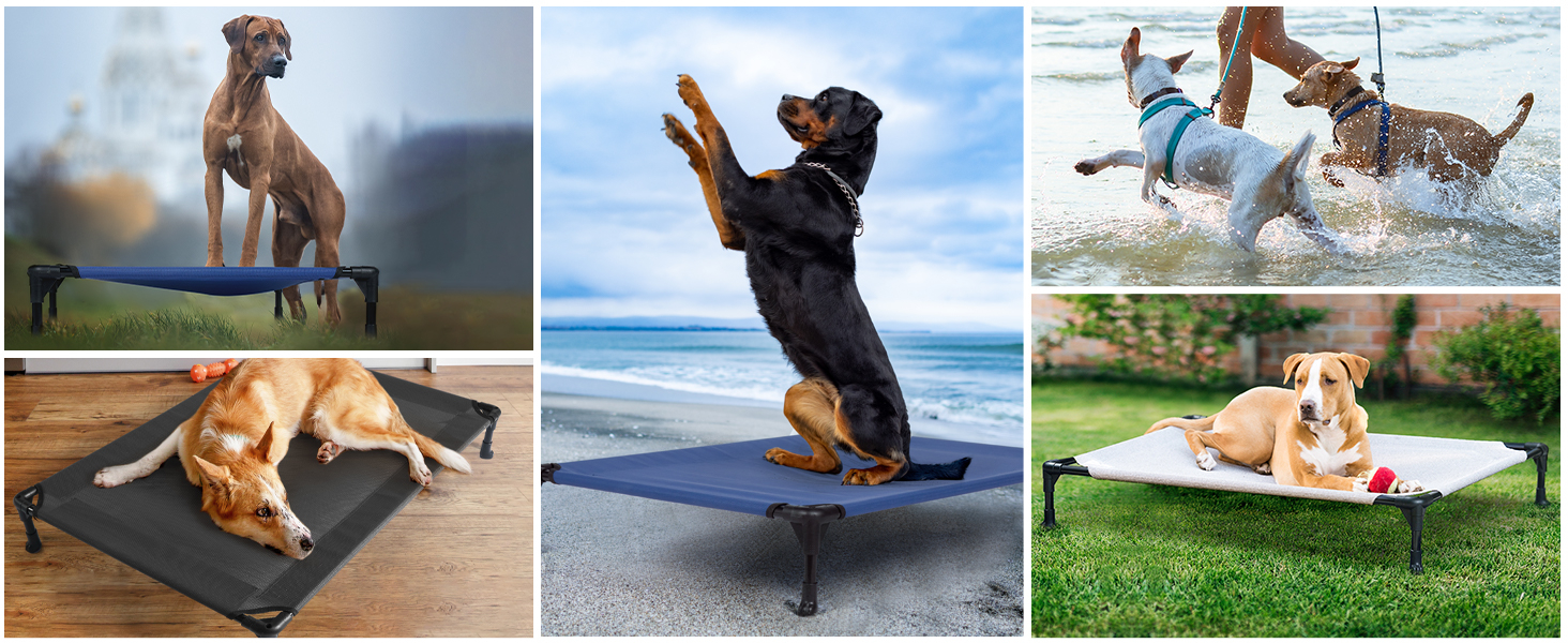 elevated dog bed raised dog cot