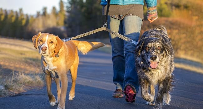 two short leash